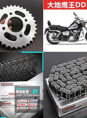 适用大地鹰王DD250G-2N DD250E-9套链牙盘大小飞链轮征和加厚链条