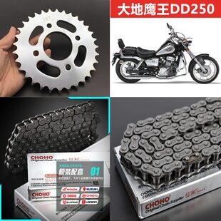 适用大地鹰王DD250G-2N DD250E-9套链牙盘大小飞链轮征和加厚链条