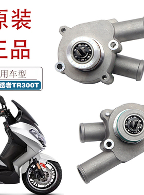 适用台荣探路者TR300T摩托车水泵总成台荣300踏板车冷却水泵总成