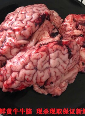 新鲜现杀牛脑牛杂烧烤火锅1个
