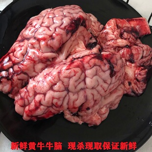 新鲜牛脑黄牛牛脑子整只牛脑烧烤火锅食材1个