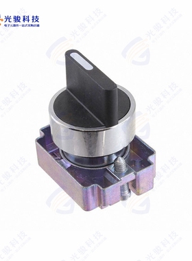 2AS2-4 《CONFIG SW BODY SELECTR NON-ILLUM》