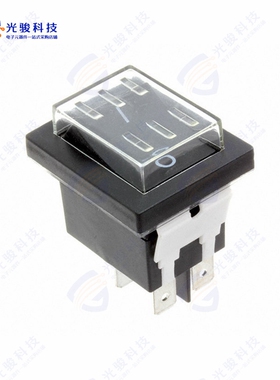 WB24ED1121-ACC-KF05 《SWITCH ROCKER DPST-NO 20A 125V》