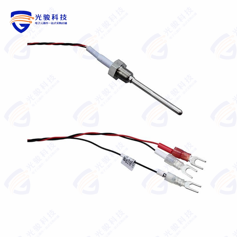 E52-P6DY 2M《RTD 1/8 TREADED L=65MM 2M》