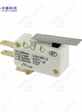 831613C6.BB 《SWITCH SNAP ACTION SPDT 16A 250V》