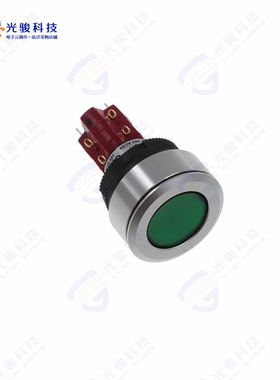LASEEV32HGRNGRN 《SWITCH PUSHBUTTON DPDT 8A 125V》
