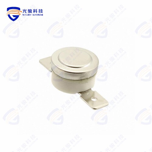 2450RC 00040250《THERMOSTAT 199DEG C NC MODULE QC》
