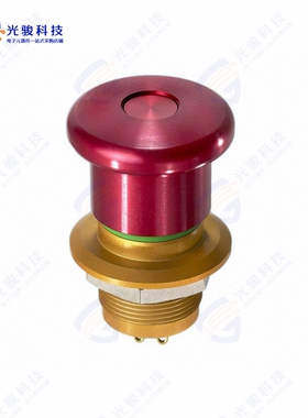 ES1S41653 《SWITCH PUSHBUTTON DPST-NC 1A 24V》