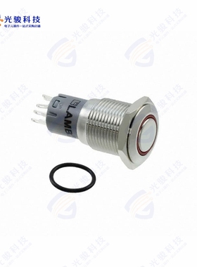 PV3F2H0SS-315 《SWITCH PUSHBUTTON DPDT 2A 48V》