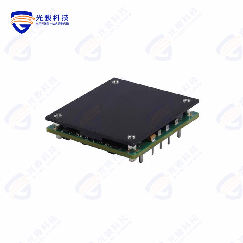 HPS3120N030R26W《DC DC CONVERTER 12V 360W》