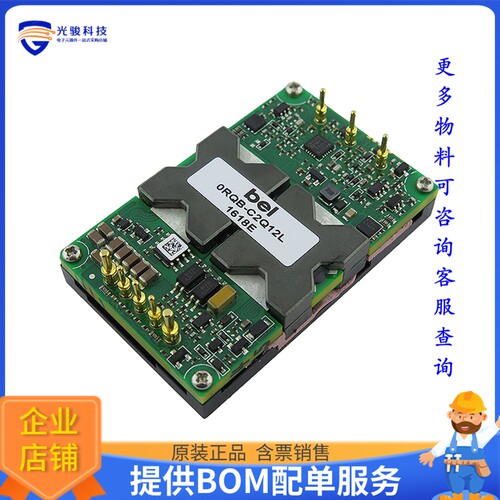 0RQB-C2Q12LG电源模块【DC DC CONVERTER 12V 156W】