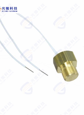 30010000《TEMP SENSOR RTD 1000 OHM》