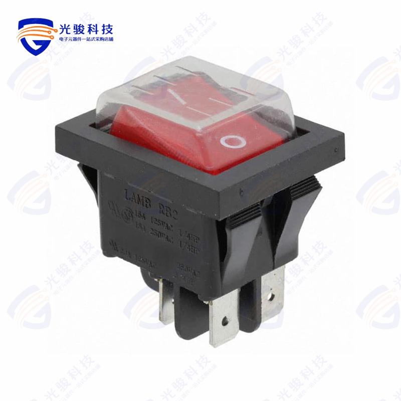 RB242D1021-117/ACC-F02-1 《SWITCH ROCKER DPST 20A 125V》