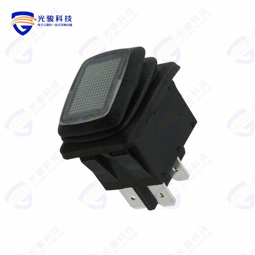 GRB285A8L101GR4 《SWITCH ROCKER DPST 20A 125V》