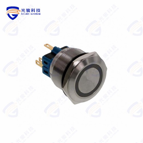 PV8F2Y0SS-315 《SWITCH PUSHBUTTON DPST 2A 36V》