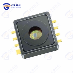KP219N3621XTMA1《PRESSURE SENSOR IC'S》