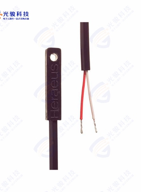 31600393《TEMP SENSOR RTD 100 OHM》