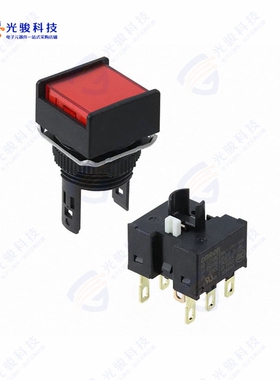 A165L-ARM-T1-2 《SWITCH PUSHBUTTON DPDT 5A 125V》
