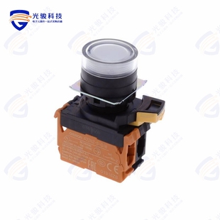 10A G202 PUSH DPST SWITCH TWA 120V A22NL BGM