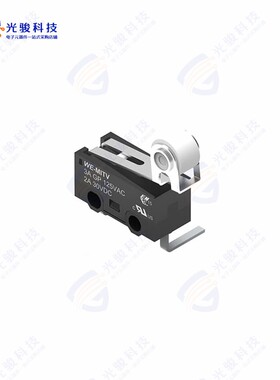 463093691402 《WS-MITV MICRO SWITCH》