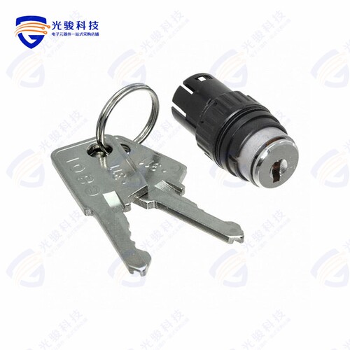 61-2101.0/D 《CONFIG SW BODY KEYLOCK NON-ILLUM》