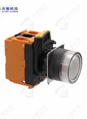 A22NL-BGM-TWA-G202-WD 《SWITCH PUSH DPST-NC 10A 120V》