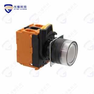 10A G202 PUSH DPST SWITCH TWA 120V A22NL BGA