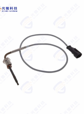 CTTS-186019-F02A《PT200 EXHAUST GAS HIGH TEMP RTD》