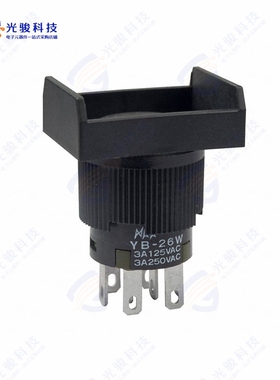 YB26WRKW01 《SWITCH PUSHBUTTON DPDT 3A 125V》