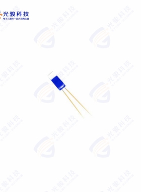 TT-PT-1000B-2050-11-AUNI《PT RTD 1000 OHM CLASS B》