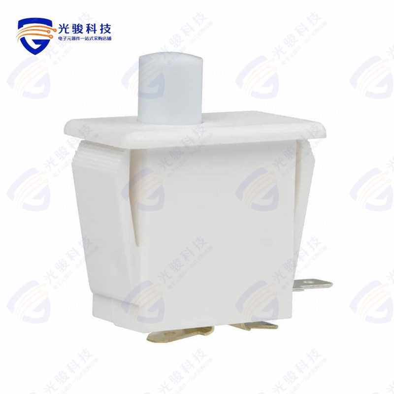 1DM21 《SWITCH SNAP ACTION SPDT 10A 125V》