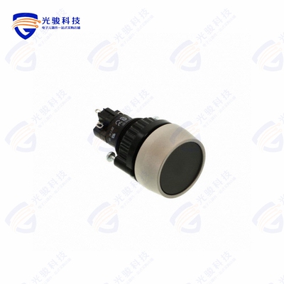 K14-271.122120 《SWITCH PUSHBUTTON DPST 5A 250V》