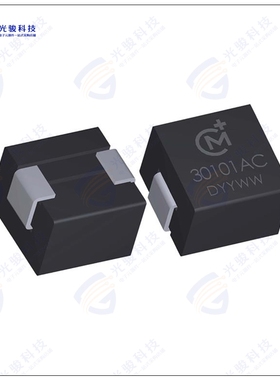 30201AC 电感器FIXED IND 191NH 22A 0.35MOHM SMD