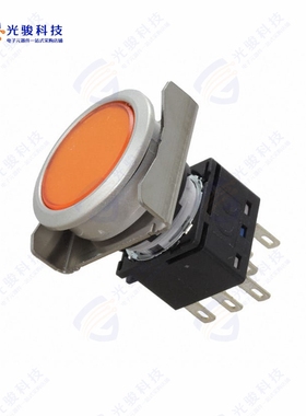 LBW6ML-M1T64A 《LBW FLUSH ILLD PB MOME. AMBER》