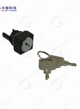 A165K-A2MR 《CONFIG SW BODY KEYLOCK NON-ILLUM》