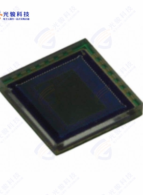 OV07675-A23A《SENSOR IMAGE》