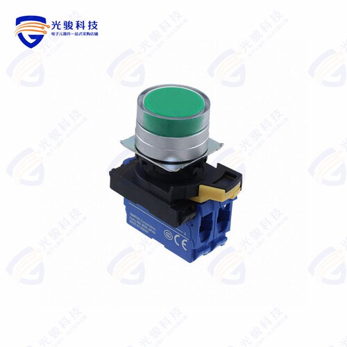 A22NN-MGA-NGA-G101-NN 《SWITCH PUSH DPST-NO 10A 120V》