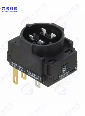 61-8574.22 《CONTACT BLOCK DPST 5A 250V》