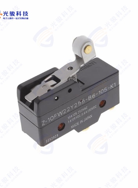 Z-10FW22Y255-B6-105-K1 《BASIC SWITCH》