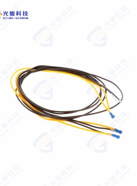 B59300M1110A070《THERMISTOR PTC 300 OHM RADIAL》