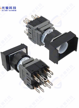 164TL22 《SWITCH PUSH 4PST-2NO/2NC 5A 250V》