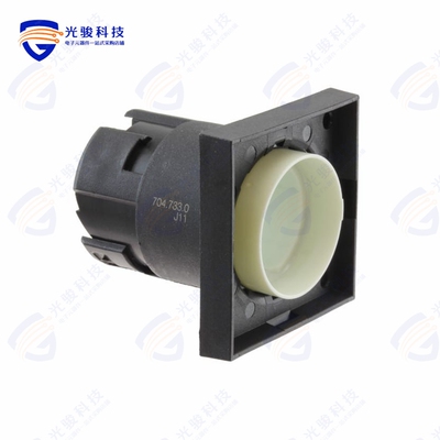704.733.0 《INDICATOR-ACTUATOR FRONT ILLUMIN》