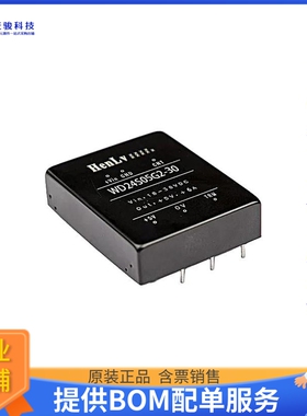 3986-WD48S05G2-30电源模块【DC DC Power Converter  5V 30W】