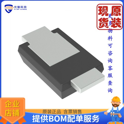 RB578VAM100TR《仓库现货DIODE SCHOTTKY 100V 700MA TUMD2M》