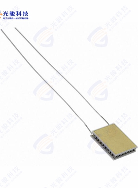 NL1025T-01AC《TEM 8.79X10.67X2.16MM》