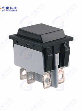 2649LH/2A212000L0 《SWITCH ROCKER DPDT 10A 125V》