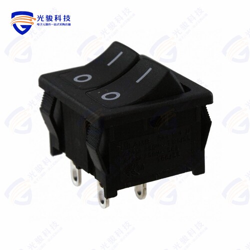 RA22131121 《SWITCH ROCKER SPSTX2 10A 125V》