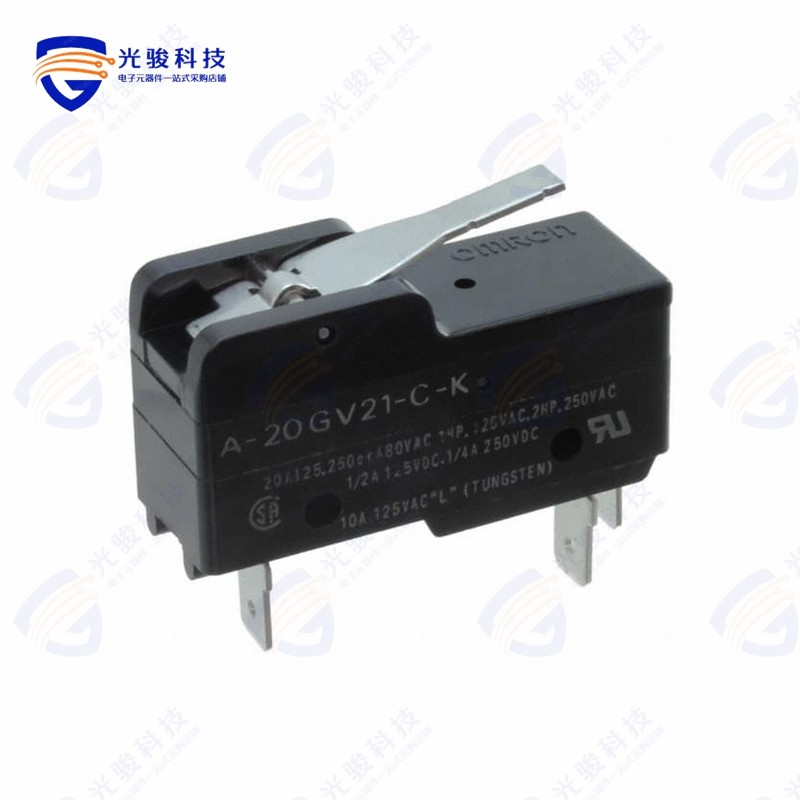 A-20GV21-C-K 《BASIC SWITCH》