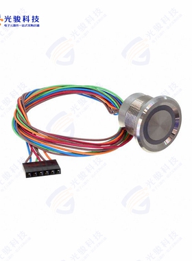 AVP22MS16CE0DT5A04 《SWITCH PUSHBUTTON SPST-NO 1A 24V》