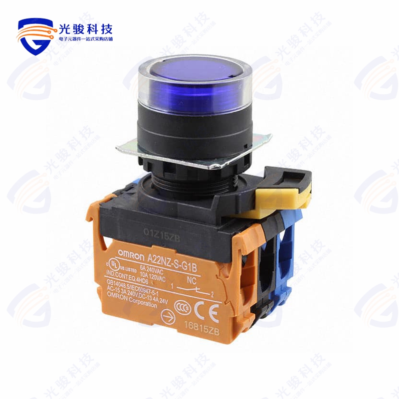 A22NL-BGM-TAA-G102-AD 《SWITCH PUSH DPST-NO/NC 10A 120V》